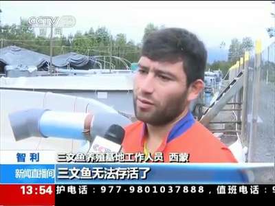 [视频]智利火山喷发 三文鱼产业受冲击