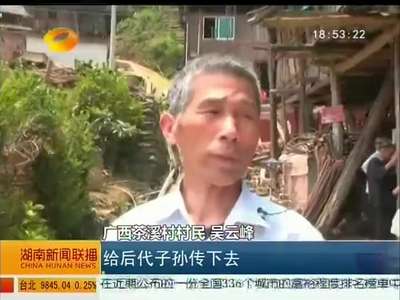 湘、桂侗民同“为也” 共庆最美五月节