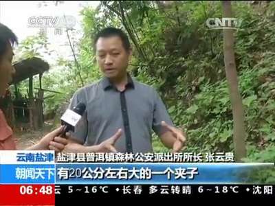 [视频]云南盐津：大熊猫被猎杀案追踪