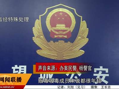 长沙望城公安局破获团伙贩毒案 花甲老人涉毒