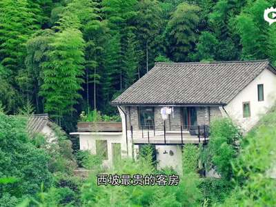 [视频]西坡有着世界上最迷人的猪圈