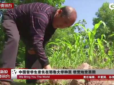 [视频]中国留学生家长在耶鲁大学种菜 使荒地变菜园