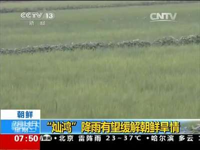 [视频]朝鲜：“灿鸿”降雨有望缓解朝鲜旱情