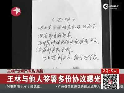 [视频]王林多份协议曝光 涉案金额超2000万