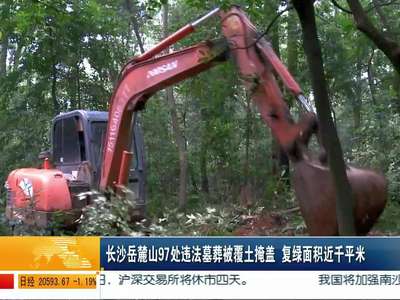 长沙岳麓山97处违法墓葬被覆土掩盖 复绿面积近千平米