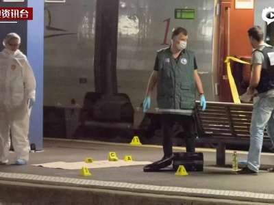 [视频]国际高速列车枪击案 男子车厢内开火