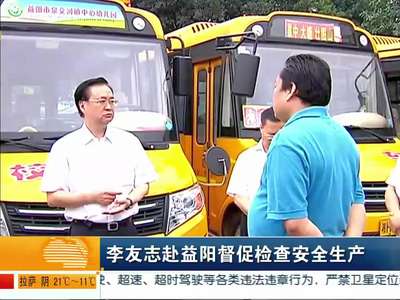李友志赴益阳督促检查安全生产
