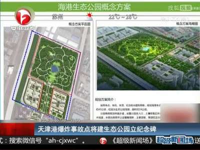 [视频]天津港爆炸事故点将建生态公园立纪念碑