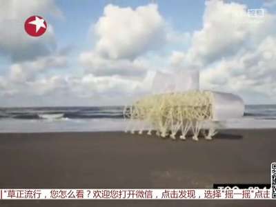 [视频]牛人自制“木牛流马”