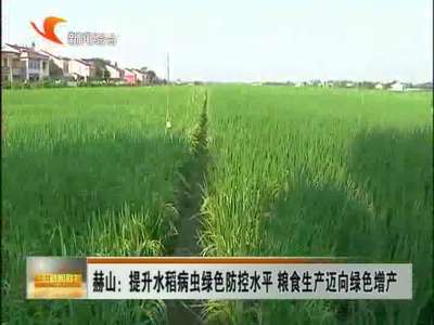 益阳：提升水稻病虫绿色防控水平