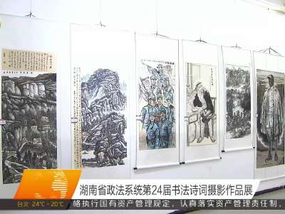 湖南省政法系统第24届书法诗词摄影作品展