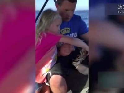 [视频]实力坑爹 小萝莉把大螃蟹丢到老爸裆部