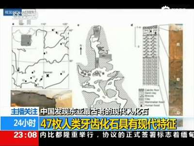 [视频]湖南发现东亚最古老现代人化石 距今至少8万年