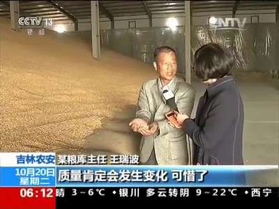 [视频]吉林内蒙古玉米主产区库存严重
