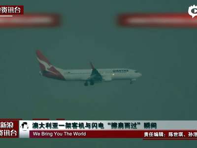 [视频]实拍澳大利亚一客机与闪电“擦肩而过”瞬间