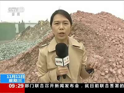 [视频]人民币的一生 探秘人民币销毁全过程