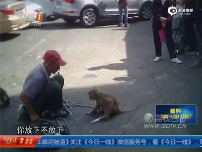 [视频]实拍广州街头耍猴 小猴子不听话遭拉扯逼下跪