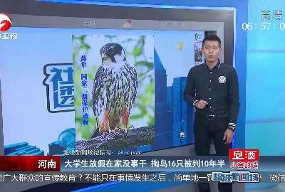 [视频]河南：大学生放假在家没事干 掏鸟16只被判10年半