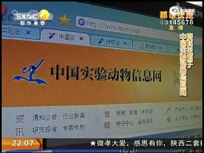 [视频]西安医学院回应遗弃狗：实验课叫停 责任人停职