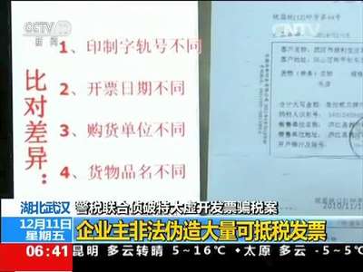 [视频]警税联合侦破特大虚开发票骗税案 湖北武汉：企业主非法伪造大量可抵税发票