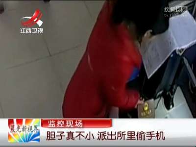[视频]胆子真不小 派出所里偷手机