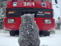 《莫格的圣诞夜之灾》