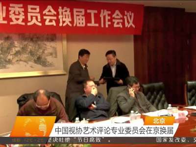 中国视协艺术评论专业委员会在京换届