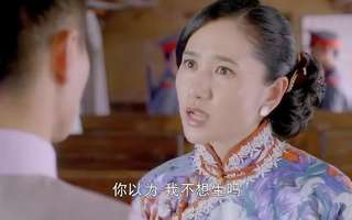 戴流苏耳环的少女分集剧情_电视剧戴流苏耳环