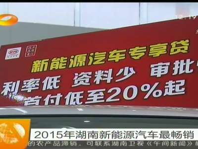 2015年湖南新能源汽车最畅销