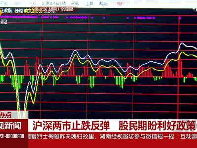 沪深两市止跌反弹 股民期盼利好政策