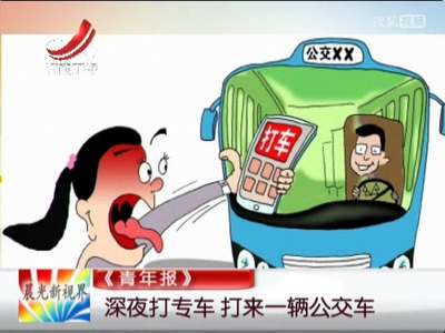 [视频]深夜打专车 打来一辆公交车