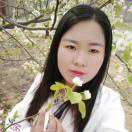 貌美如花