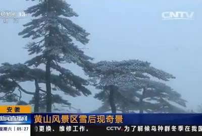 [视频]安徽：黄山风景区雪后现奇景