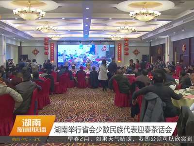 湖南举行省会少数民族代表迎春茶话会