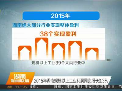 2015年湖南规模以上工业利润同比增长0.3%