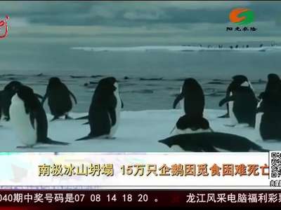 [视频]南极冰山坍塌 15万企鹅因觅食困难死亡