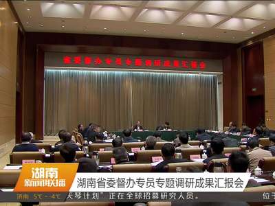 湖南省委督办专员专题调研成果汇报会