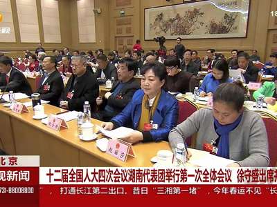 十二届全国人大四次会议湖南代表团举行第一次全体会议 徐守盛出席并讲话
