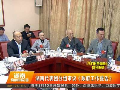 湖南代表团分组审议《政府工作报告》