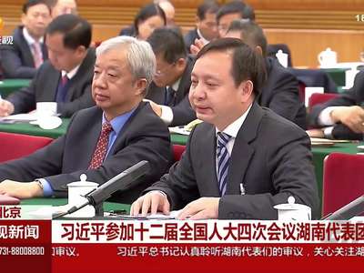 习近平参加十二届全国人大四次会议湖南代表团审议