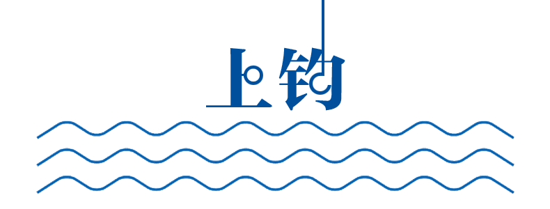 海钓·故事︱鲨鱼撞翻海钓船,少女险些丧命,上演现实版《大白鲨
