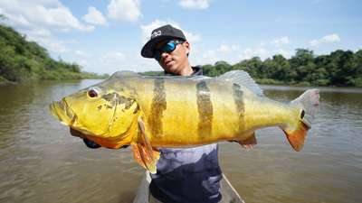 两大快递公司尬舞大对决! 终于明白快递为何迟迟不来-乐视体育