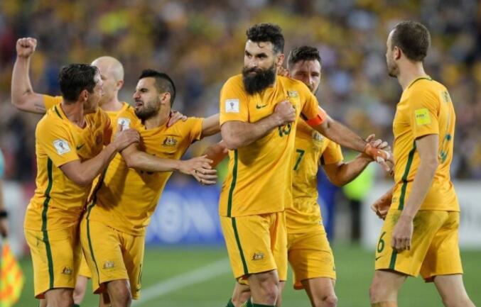 澳大利亚晋级世界杯 亚洲历史首次5队参加正赛