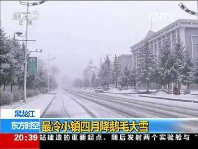 [视频]黑龙江：最冷小镇四月降鹅毛大雪