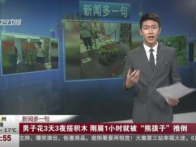 [视频]男子花三天三夜搭积木 刚展出1小时就被“熊孩子”推倒