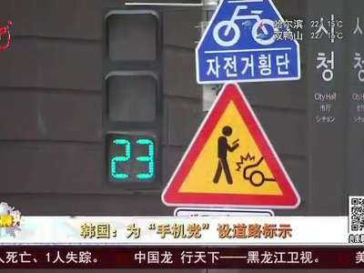 [视频]韩国：为“手机党”设道路标示