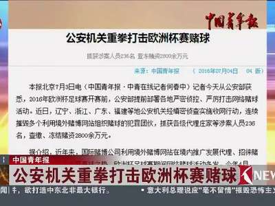 [视频]公安机关重拳打击欧洲杯赛赌球