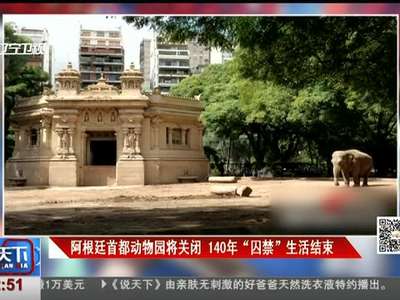 [视频]阿根廷首都动物园将关闭 140年“囚禁”生活结束