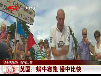 [视频]英国：蜗牛赛跑 慢中比快