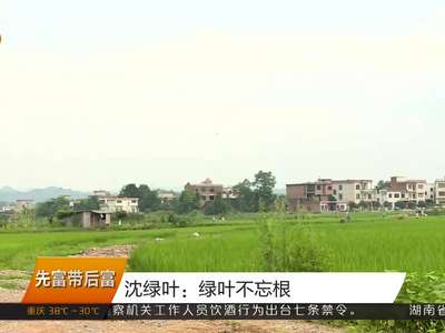 沈绿叶：绿叶不忘根